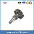 Position Hole with Teeth Gear Wheel Forging Shaft